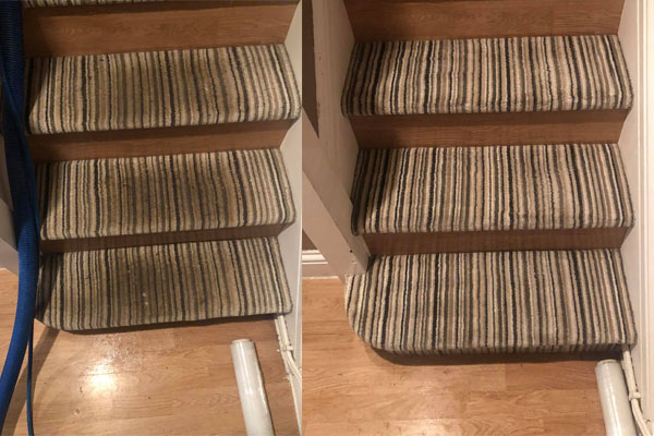 carpet cleaners great torrington